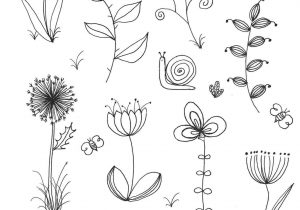 300x210 carnation flower drawing step - Carnation Drawing Step By Step