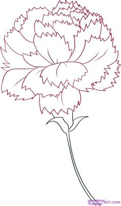 236x402 Drawing Archives - Carnation Drawing Step By Step