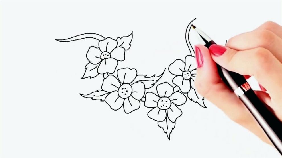 990x557 Drawing Of A Flower Beautiful Pictures Of Easy Drawing Flowers - Carnation Drawing Step By Step
