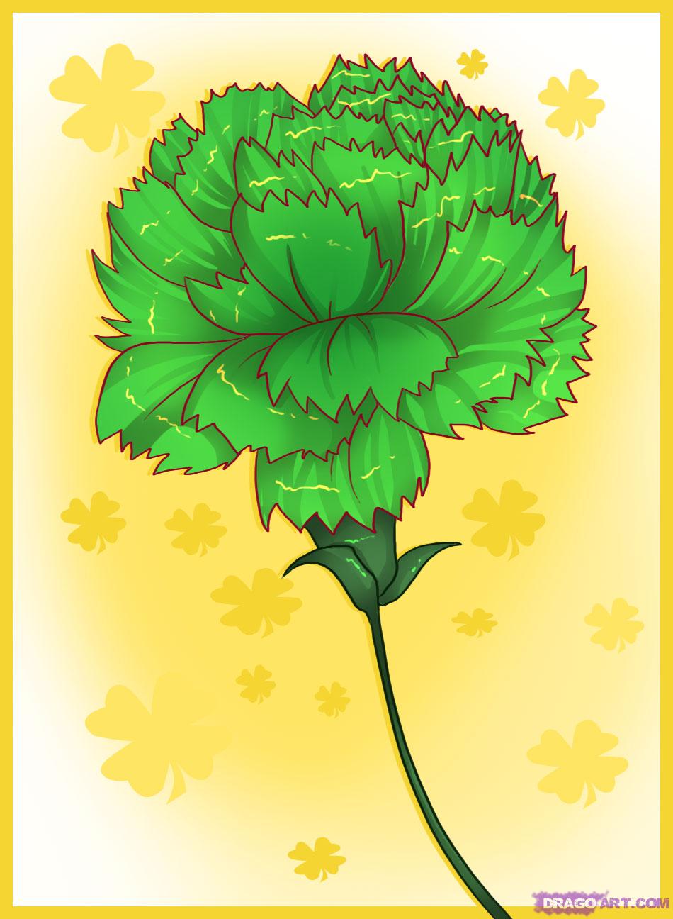 950x1296 How To Draw A Carnation, Step - Carnation Flower Drawing