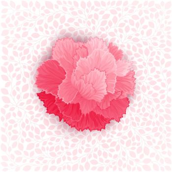 350x350 You Searched For Carnation Flower Drawing Illustration - Carnation Flower Drawing