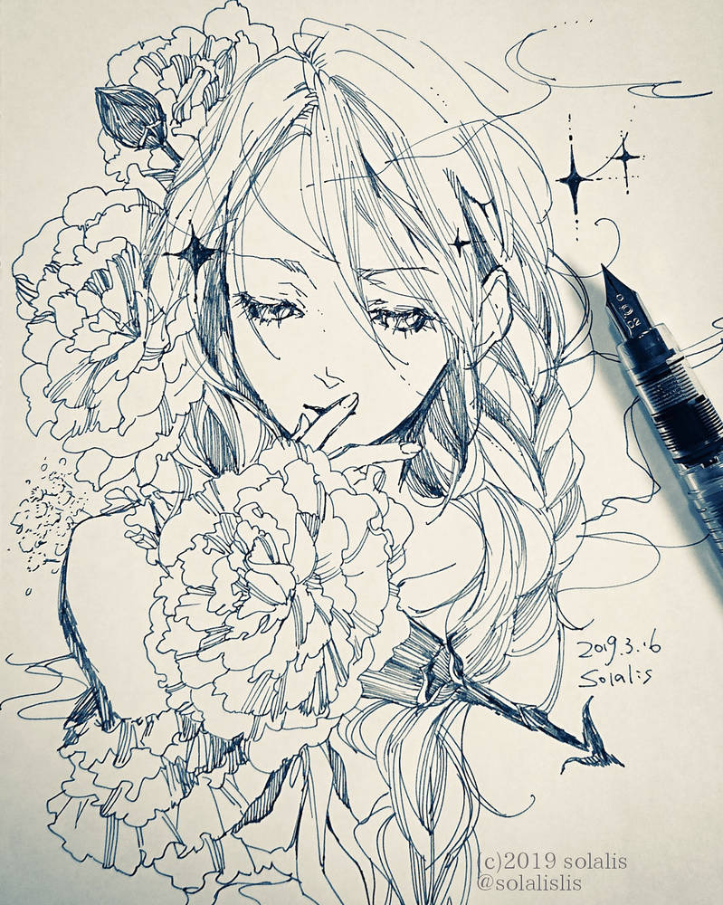 799x1000 Carnation Ii - Carnation Line Drawing