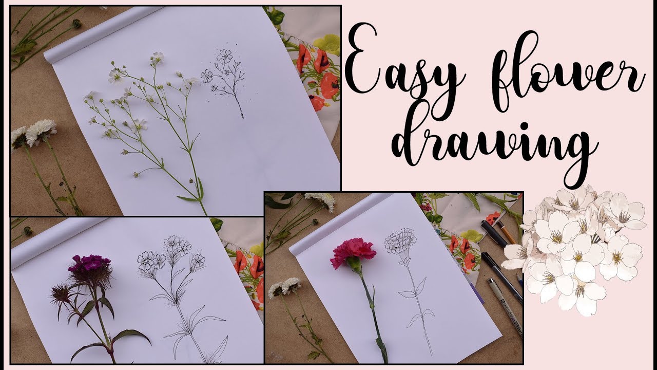 1280x720 Easy Flower Drawing Line Drawing - Carnation Line Drawing