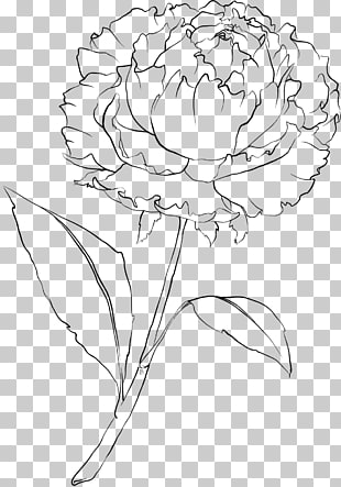 310x443 Page Flowers Line Drawing Png Cliparts For Free - Carnation Line Drawing