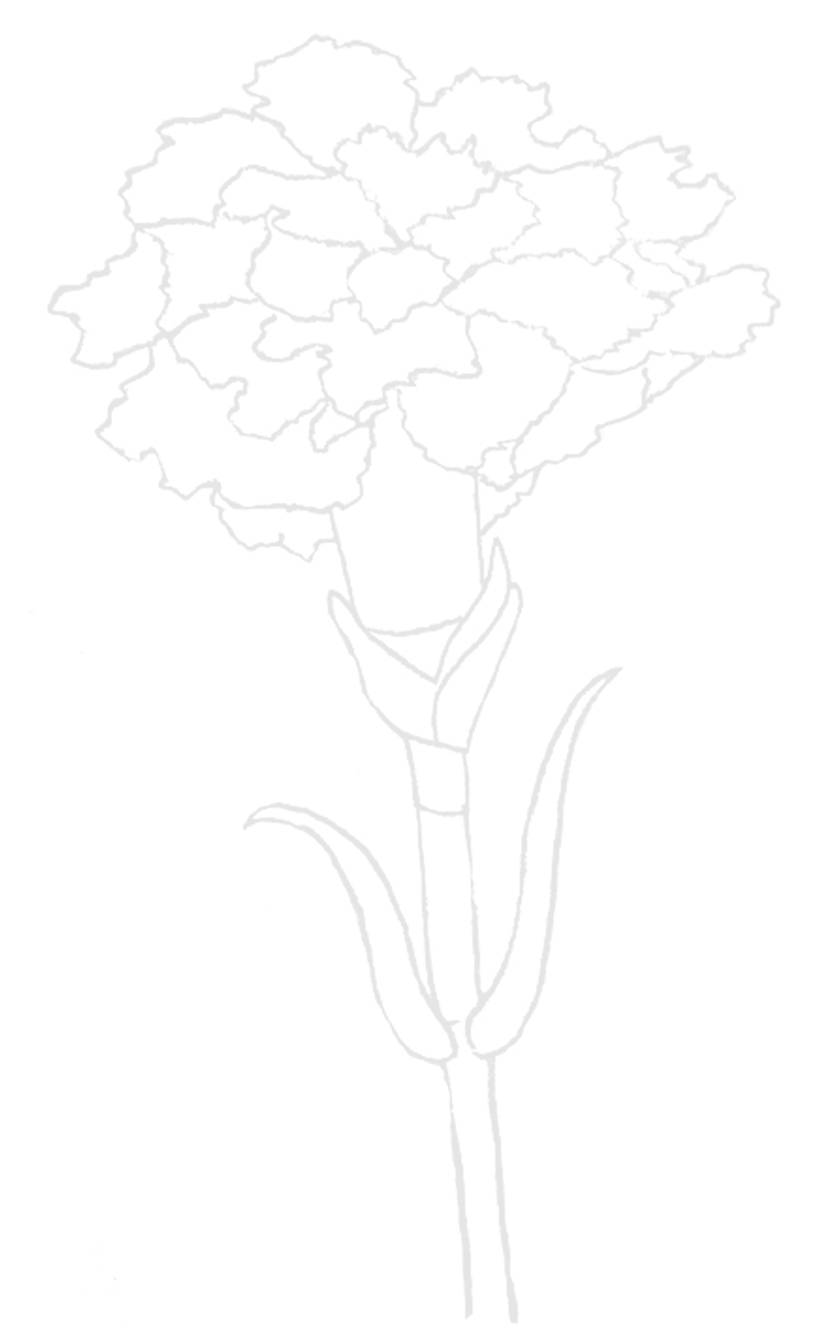 915x1488 Tutorial - Carnation Line Drawing