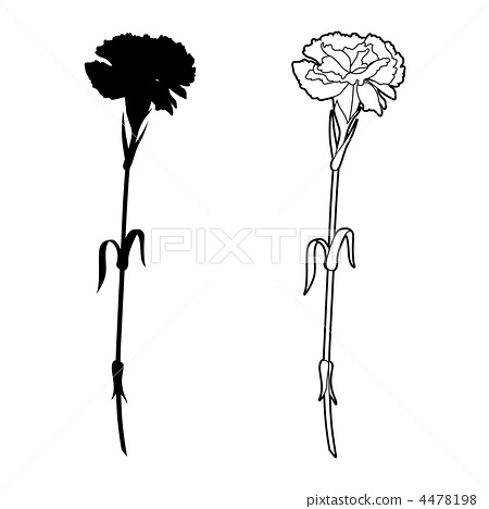 450x468 Carnation - Carnation Line Drawing