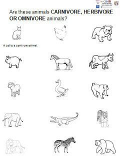 242x320 herbivore carnivore worksheet for kindergarten ceip la santa - Carnivore Drawing