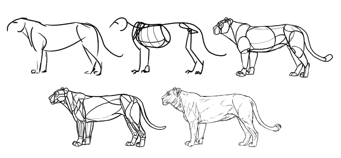700x326 How To Draw From Imagination Beyond References - Carnivore Drawing