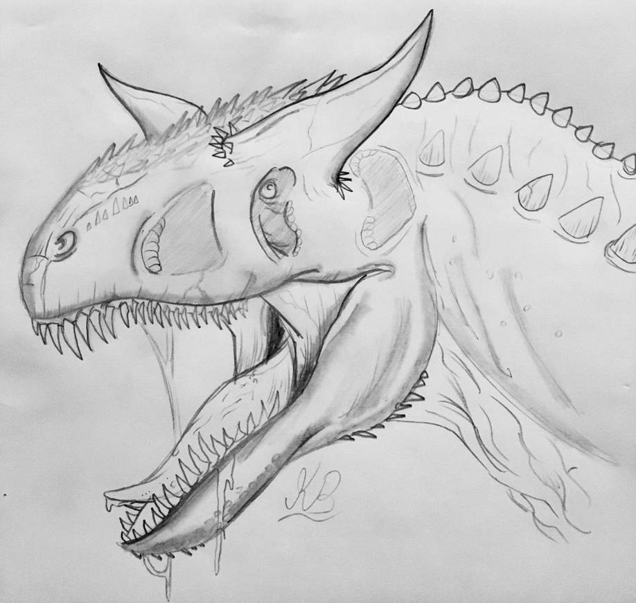 918x870 Carnotaurus Drawing - Carnotaurus Drawing