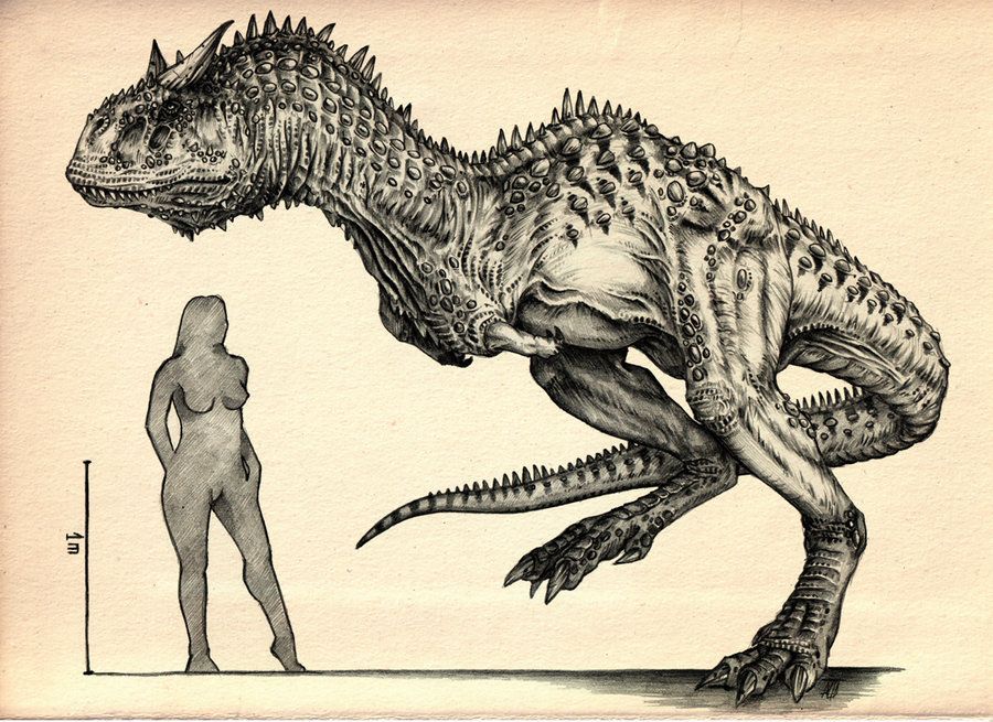 900x655 Carnotaurus Ii - Carnotaurus Drawing