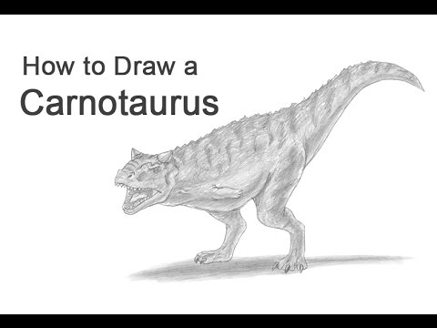 480x360 How To Draw Carnotaurus - Carnotaurus Drawing