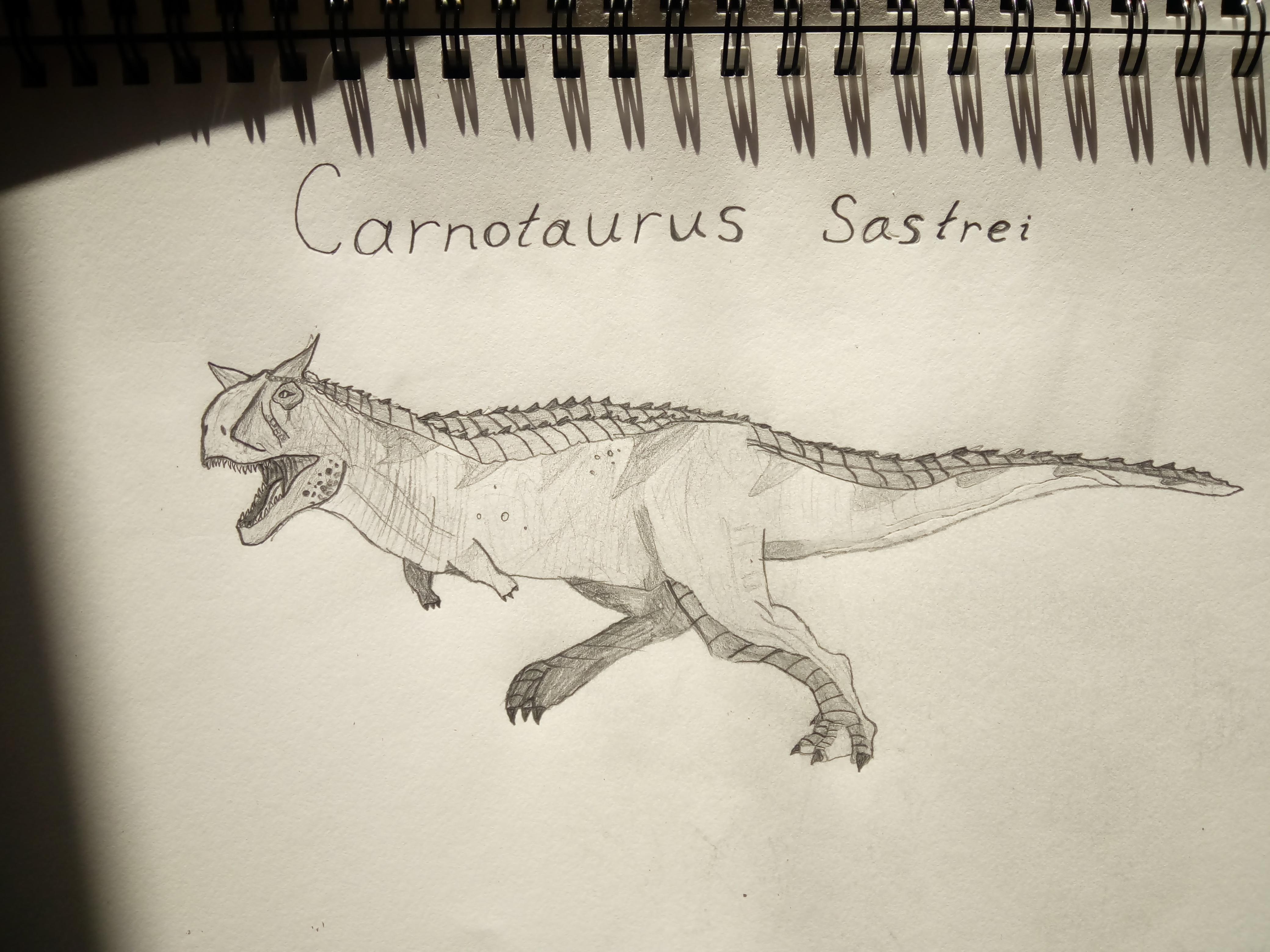 Раскраска динозавр карнотавр