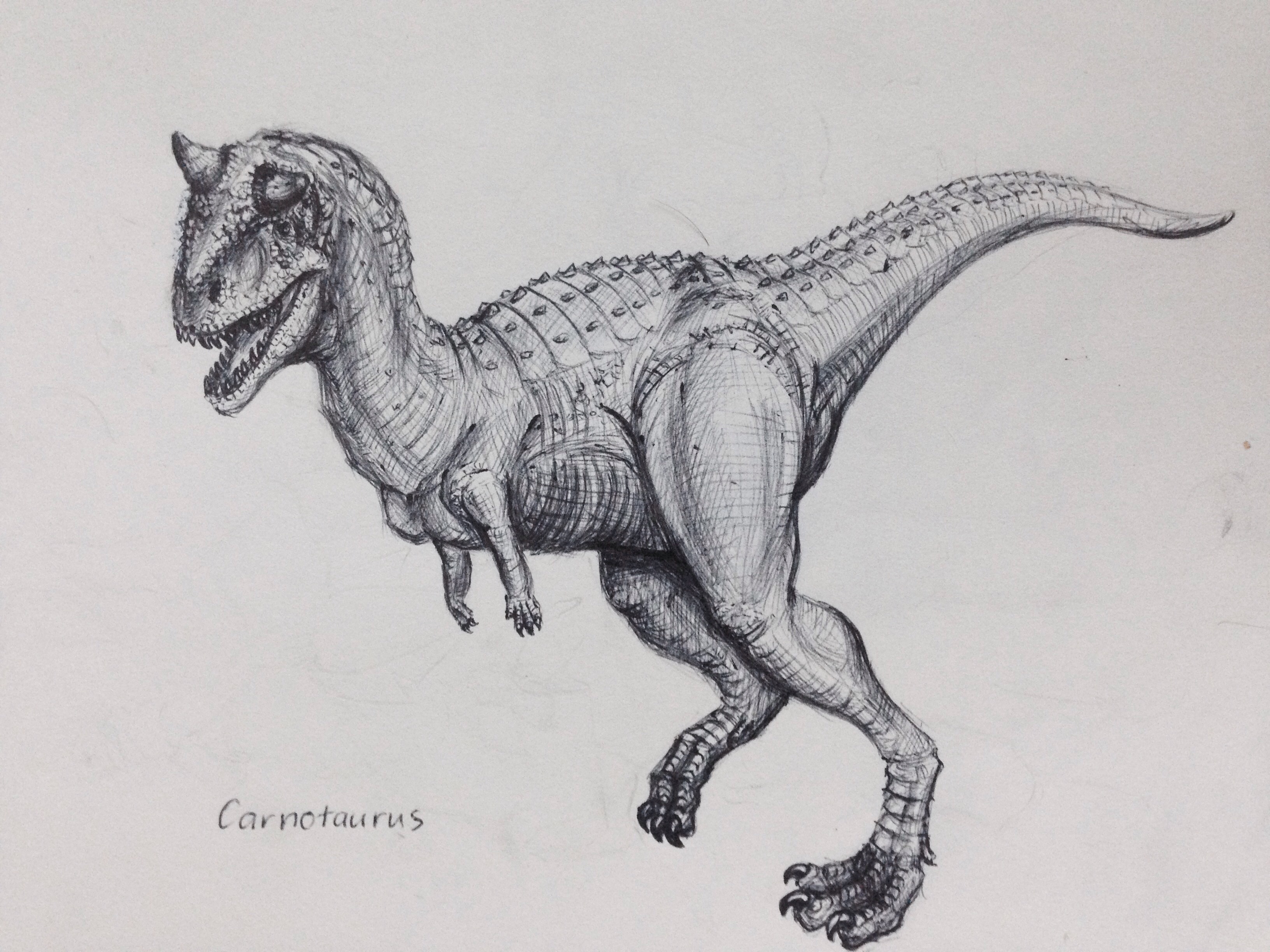 3264x2448 dino art carnotaurus and its mighty arms - Carnotaurus Drawing