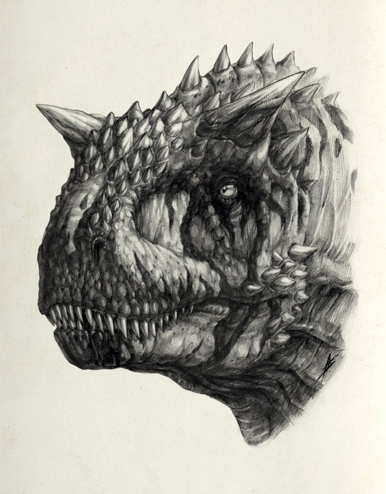 790x1011 carnotaurus prehistoric rhapsody dinosaur drawing, dinosaur - Carnotaurus Drawing