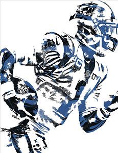 231x300 Carolina Panthers Art Fine Art America - Carolina Panthers Drawing