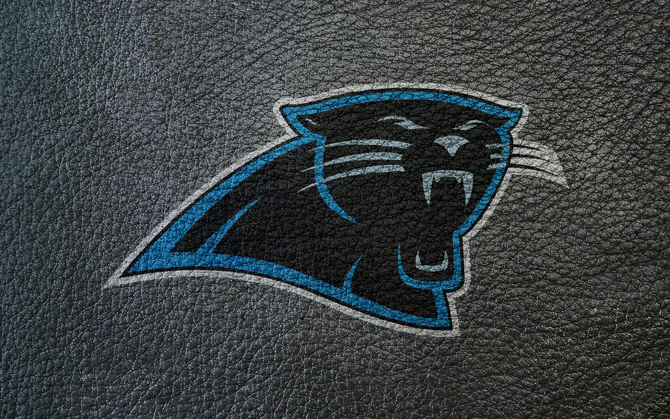 2560x1600 Carolina Panthers Logo Wallpaper - Carolina Panthers Logo Drawing