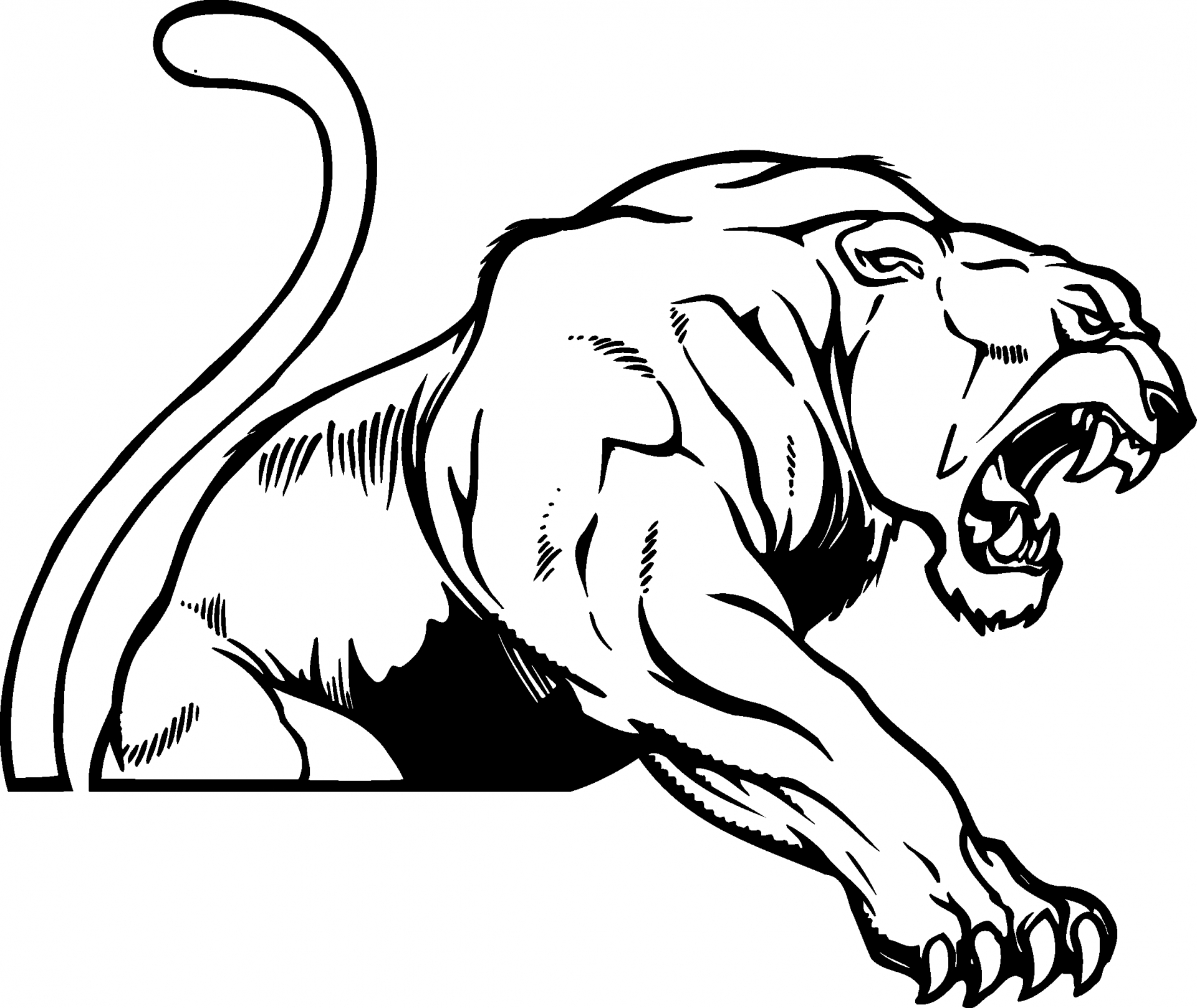 1920x1616 Panther Logos Clip Art - Carolina Panthers Logo Drawing