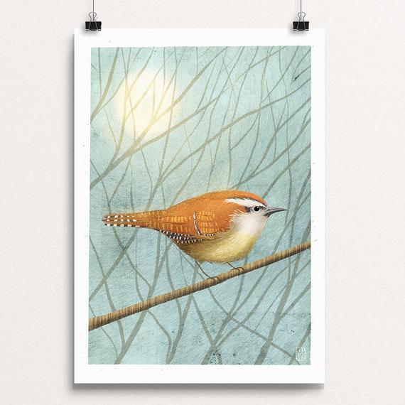 570x570 Carolina Wren Day Nine Winter Birds Daily Drawing Etsy - Carolina Wren Drawing
