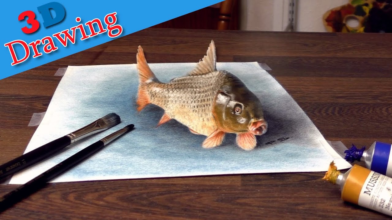 1280x720 drawing in of realistic common carp dibujar bien paso a paso - Carp Drawing