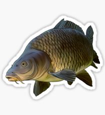 210x230 carp drawing stickers redbubble - Carp Drawing