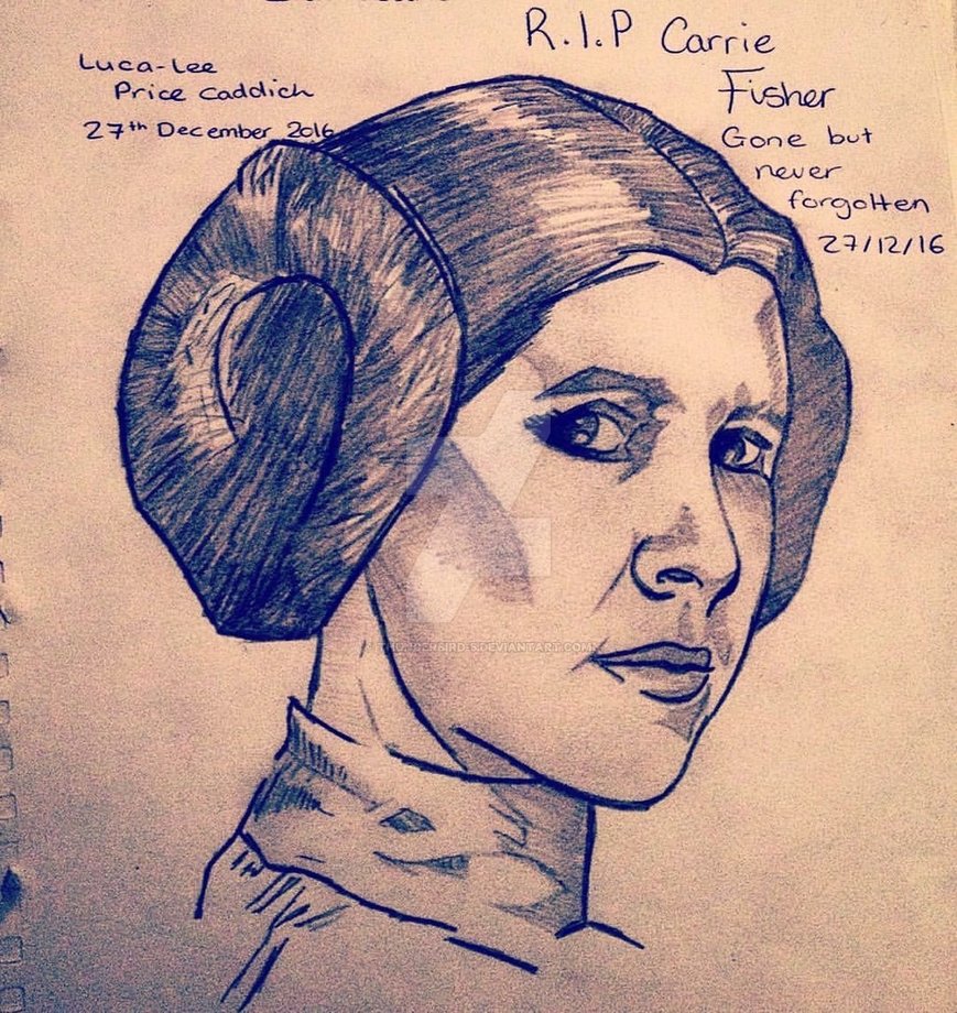 869x920 princess leia - Carrie Fisher Drawing