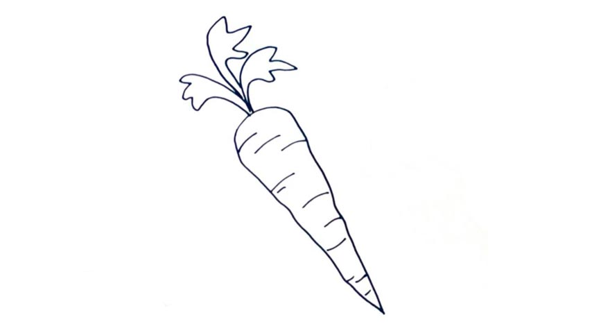 854x480 how to draw a carrot - Carrot Drawing