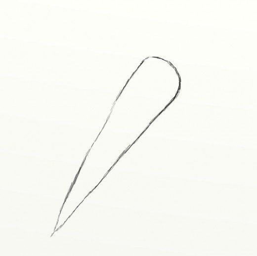 520x518 how to draw a carrot feltmagnet - Carrot Drawing