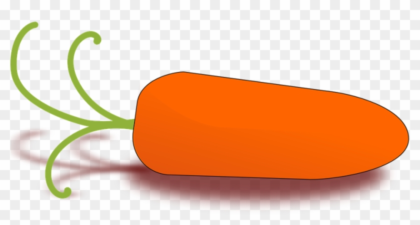 840x450 carrot clipart orange color - Carrot Drawing