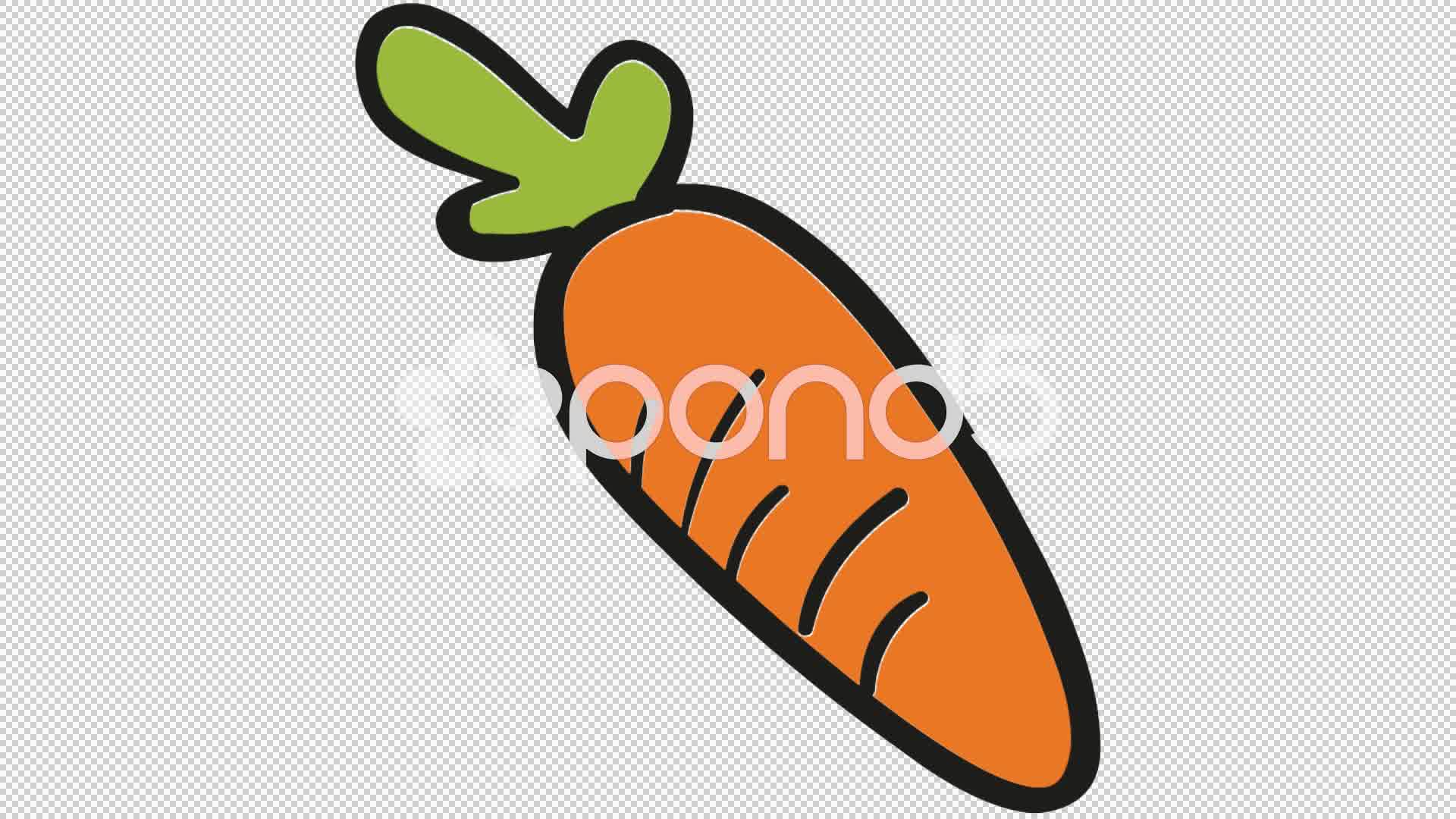 1920x1080 video carrot vegetable line drawing animation illustration - Carrot Drawing