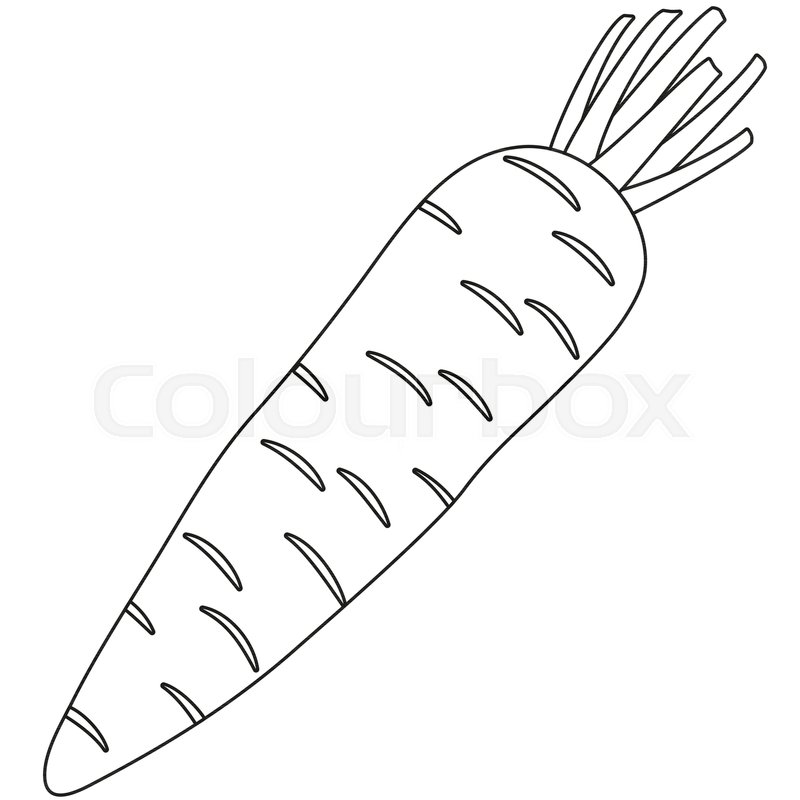 800x800 Line Art Black And White Carrot Icon Stock Vector Colourbox - Carrot Line Drawing