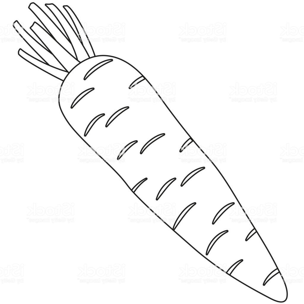 Carrot Line Drawing at Explore collection of