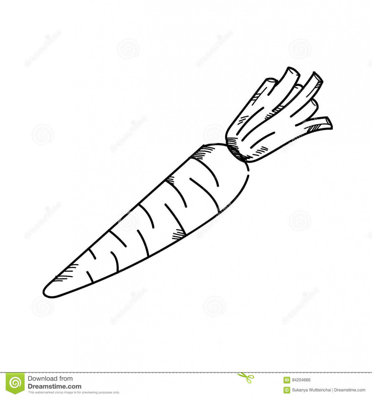 1261x1348 freehand drawing illustration vegetable carrot stock illustration - Carrot Line Drawing