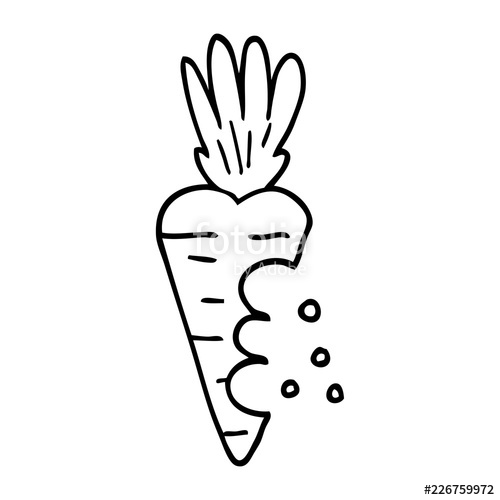 500x500 Line Drawing Cartoon Carrot With Bite Marks Stock Image - Carrot Line Drawing