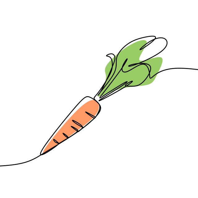 640x640 carrot continuous line art drawing vector, one line, vegetarian - Carrot Line Drawing