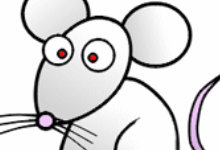 220x150 Draw Cartoon Animals From The Farm Easily - Cartoon Animals Drawing