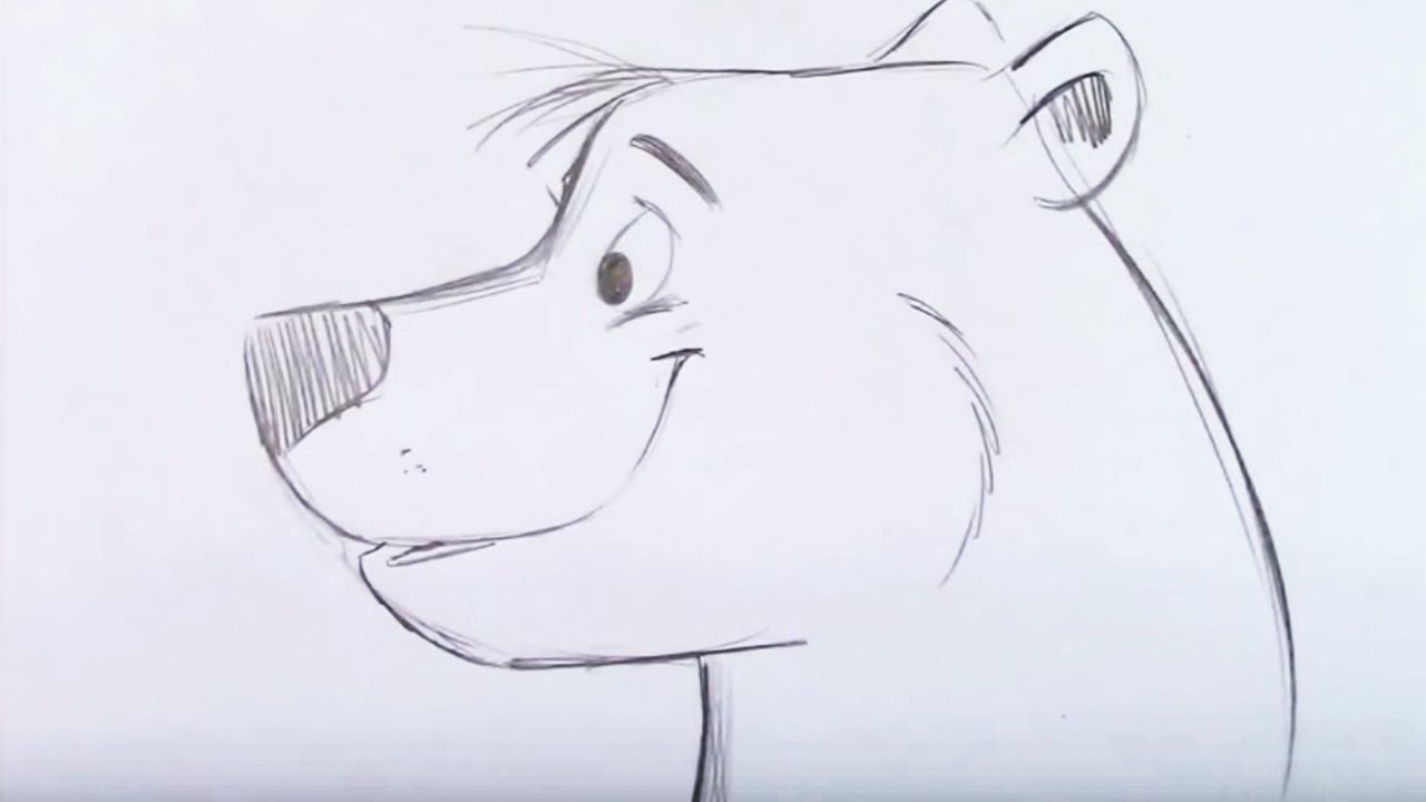 1280x720 Draw A Cartoon Bear - Cartoon Bear Drawing