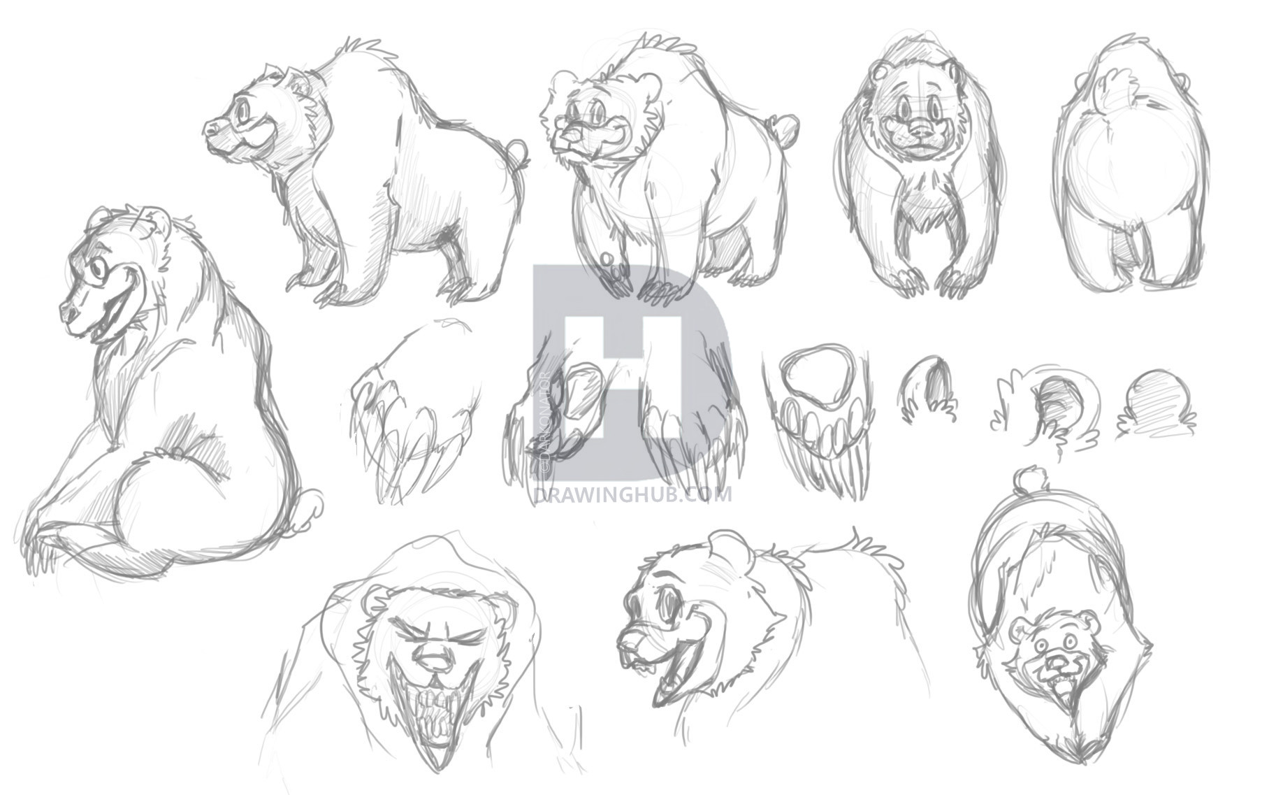 1826x1137 How To Draw A Cartoon Bear, Step - Cartoon Bear Drawing