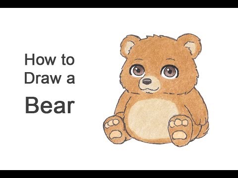 480x360 How To Draw A Bear Sitting - Cartoon Bear Drawing