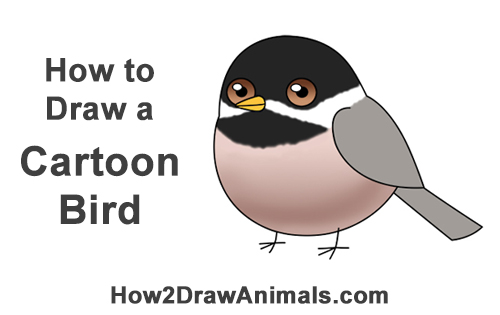 500x315 How To Draw A Chickadee Bird - Cartoon Bird Drawing