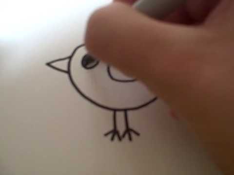 480x360 How To Draw A Cartoon Chick And A Cartoon Bird - Cartoon Bird Drawing