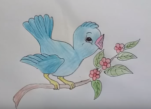 300x217 How To Draw Cute Cartoon Bird - Cartoon Bird Drawing