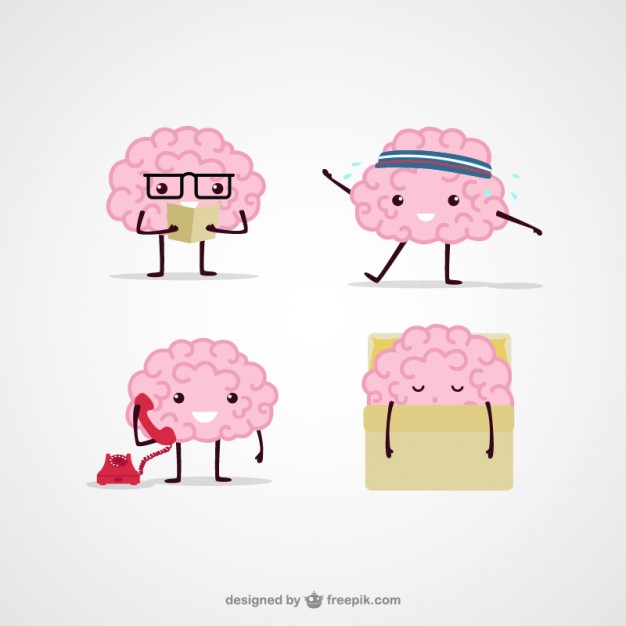 626x626 Cartoon Brain Illustrations Vector Free Download - Cartoon Brain Drawing