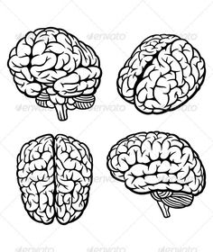 236x280 Brain Diagram Front View Art Inspiriation In Brain - Cartoon Brain Drawing