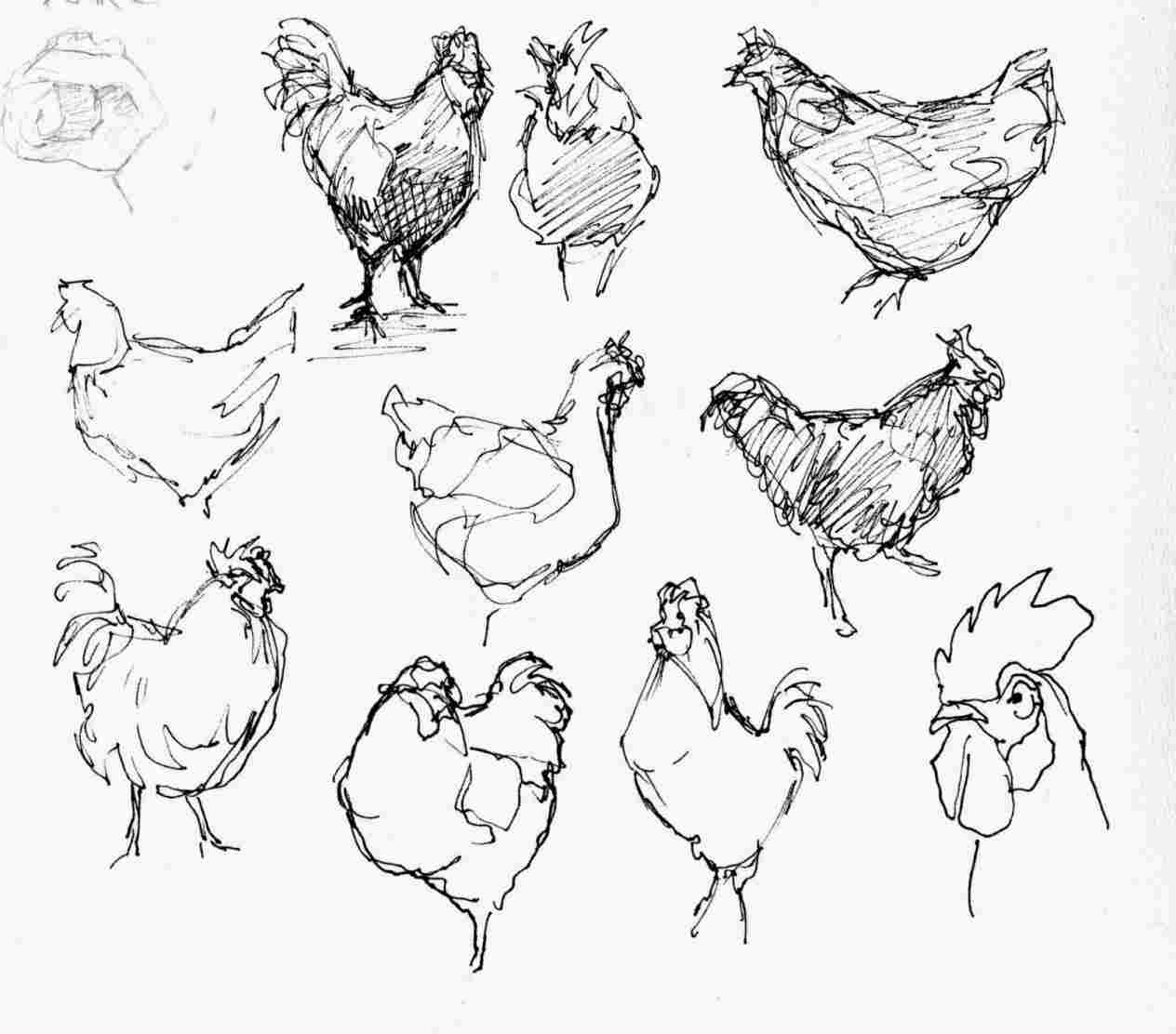 1264x1112 Chickens To Draw A Cartoon Chicken Youtuberhyoutubecom Drawings - Cartoon Chicken Drawing