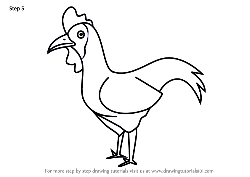 844x598 Learn How To Draw A Cartoon Chicken - Cartoon Chicken Drawing