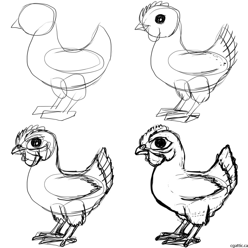 1000x1000 Chicken Cartoon Drawing In Steps With Photoshop - Cartoon Chicken Drawing