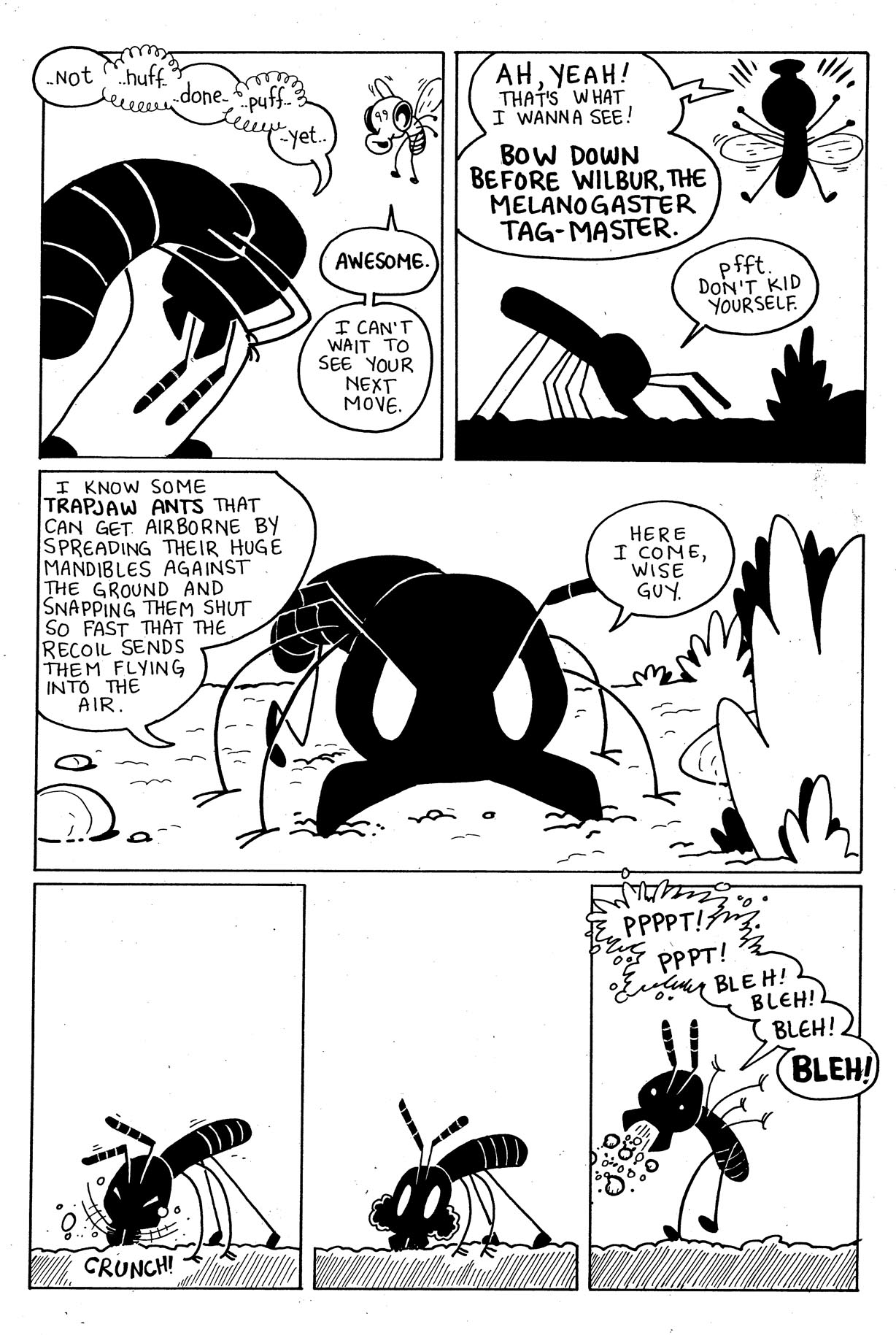 1228x1829 cartoons drawing flies - Cartoon Comic Drawing