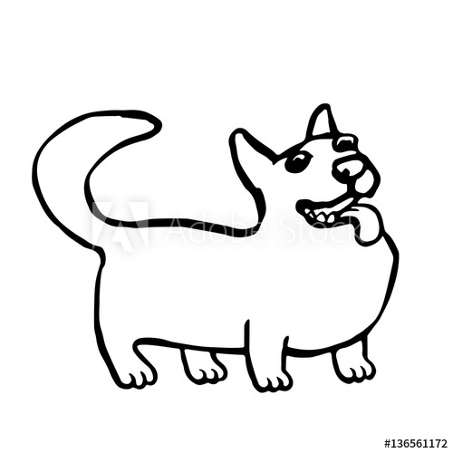500x500 corgi dog isolated vector illustration funny cartoon fur contour - Cartoon Corgi Drawing