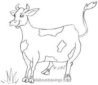 326x280 Drawing Cartoons - Cartoon Cow Drawing