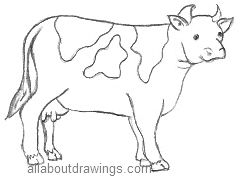 240x176 Easy Cartoon Drawings - Cartoon Cow Drawing